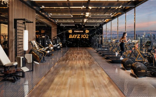 BAYZ 102 BY DANUBE